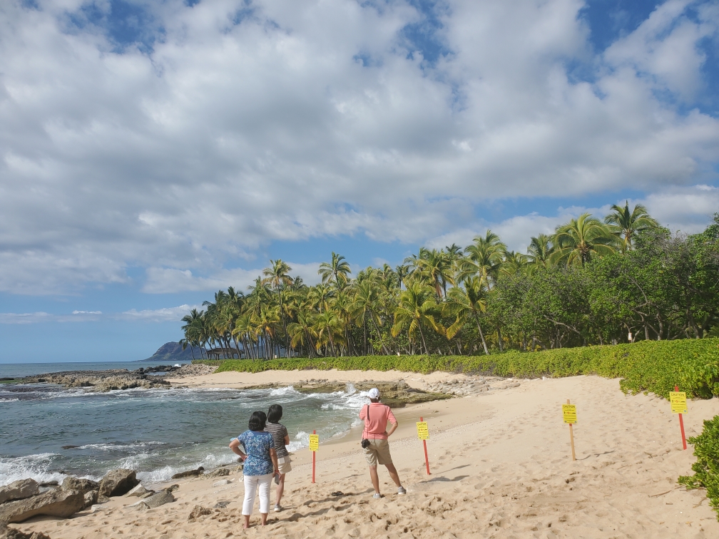 Secret Beach Closed due to the Hawaiian Monk Seal